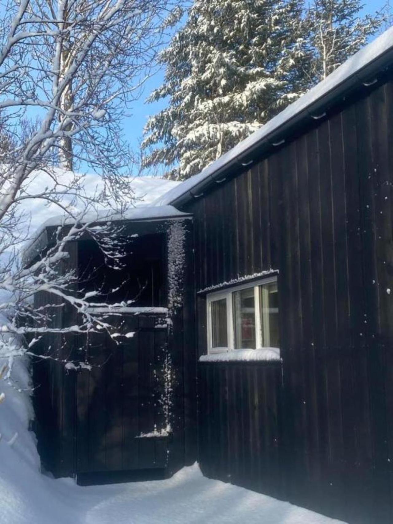 Audkula Dome Cabin Daire Hella Dış mekan fotoğraf