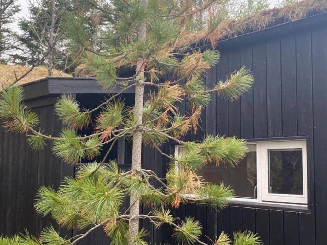 Audkula Dome Cabin Daire Hella Dış mekan fotoğraf